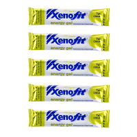 Xenofit Energy Gel 5er Pack Maracuja MHD 02-2025