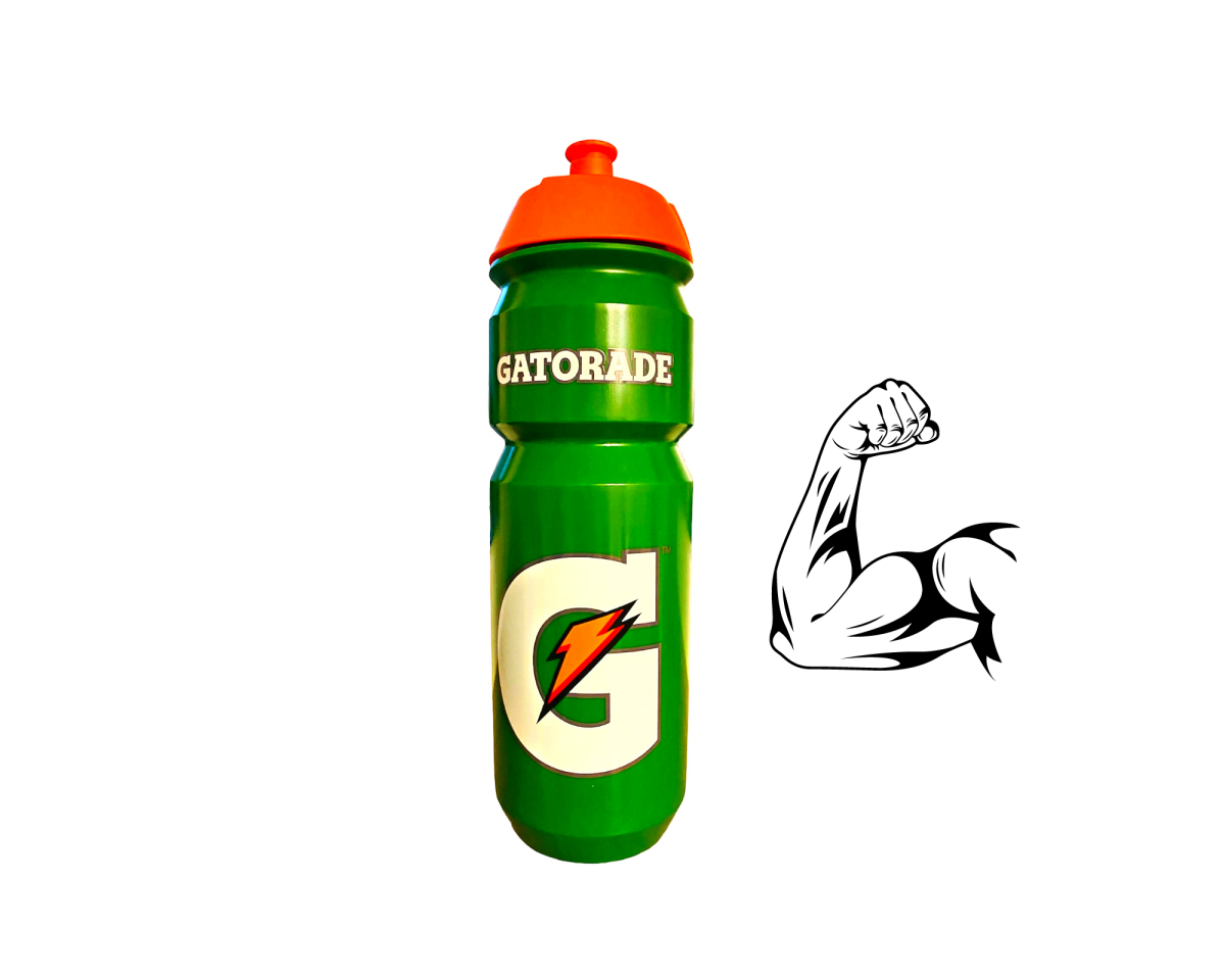 Gatorade Trinkflasche 750ml, 4,99 €