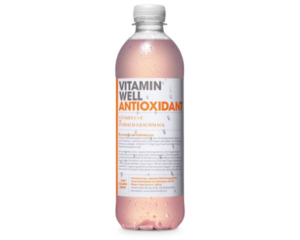 Vitamin Well Fertiggetränk 500ml