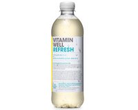 Vitamin Well Fertiggetränk 500ml